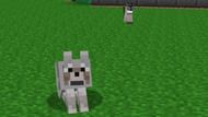 Players can easily change the color of their wolf's collar in Minecraft (Image via Reddit)